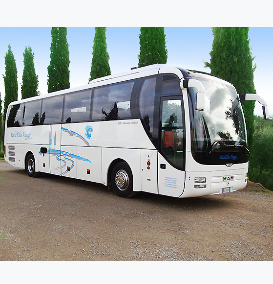Alquiler de Autobuses y Minibuses con conductor